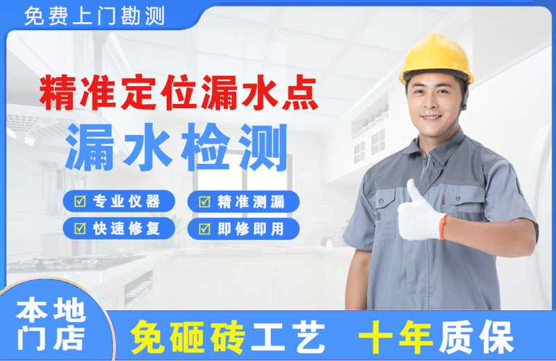 台安精准测漏点